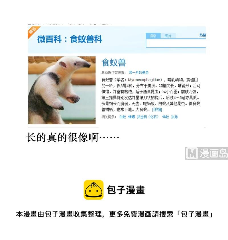 你是北极熊吗