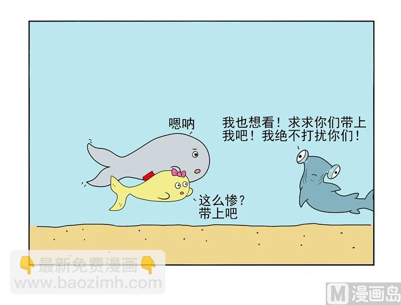 看个锤子