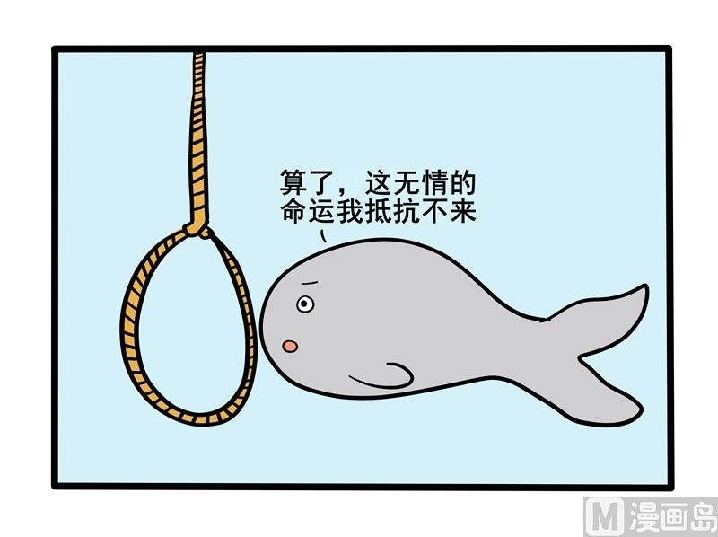 鱼生无趣
