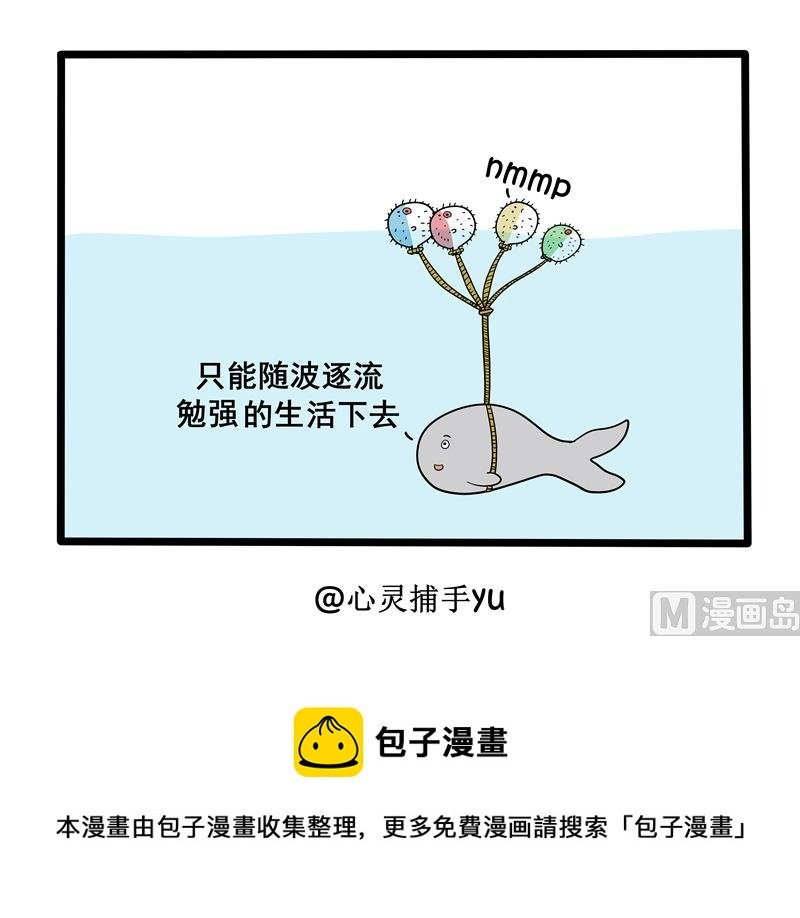 鱼生无趣