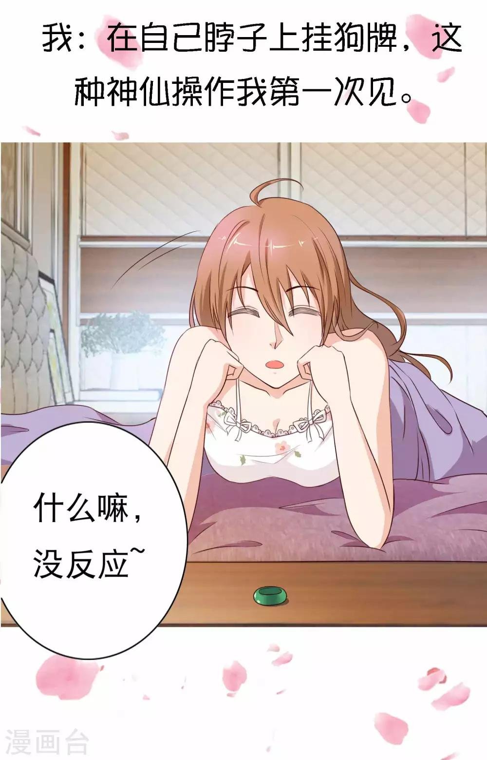 预告