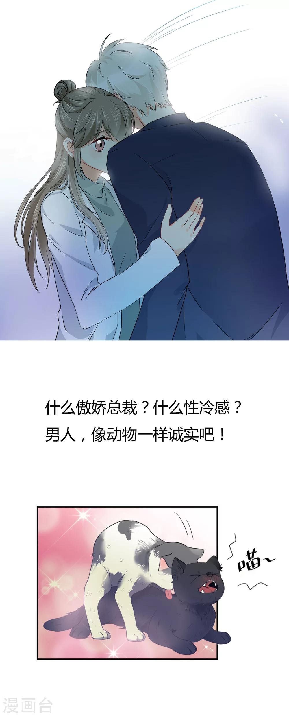 预告