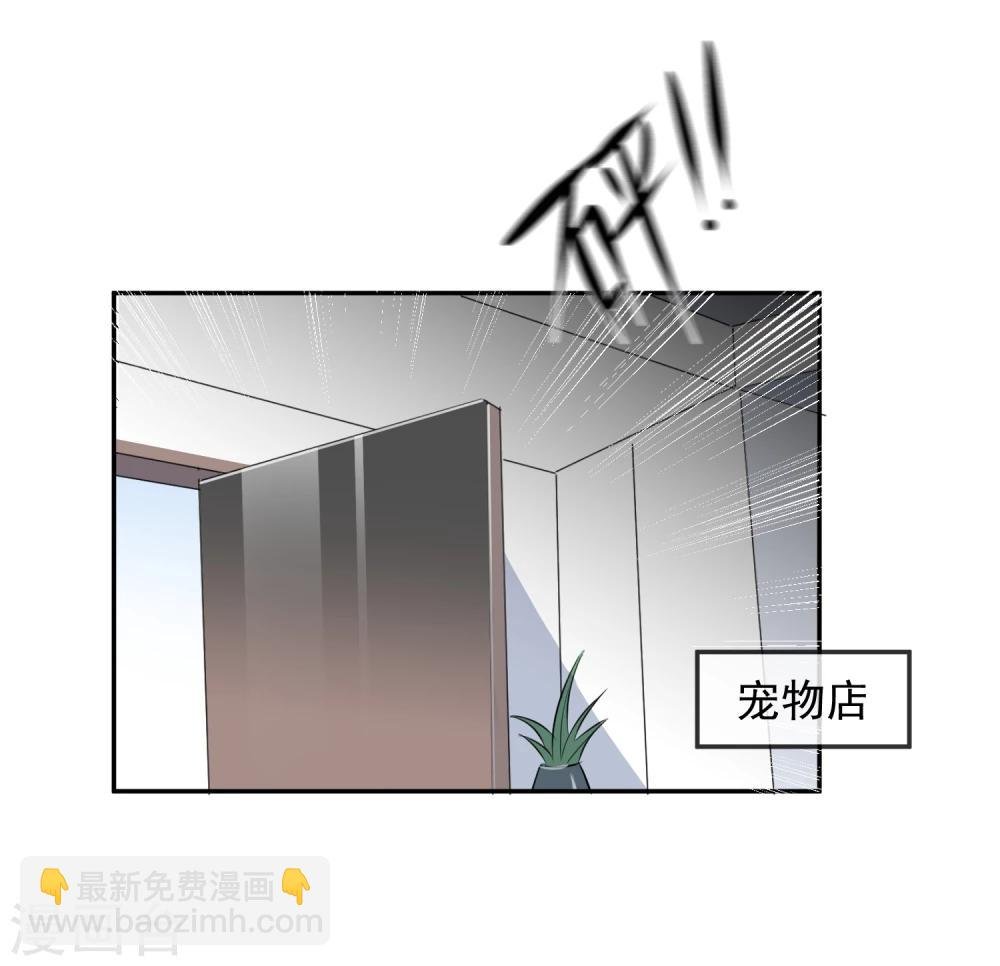 第13话 更年期的总裁