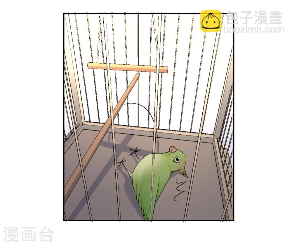 第13话 更年期的总裁