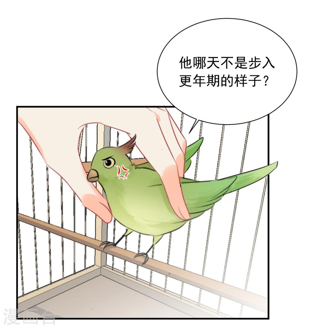 第13话 更年期的总裁
