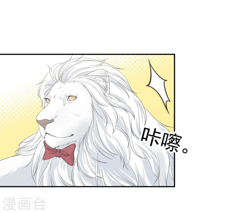 第14话 壁咚你！