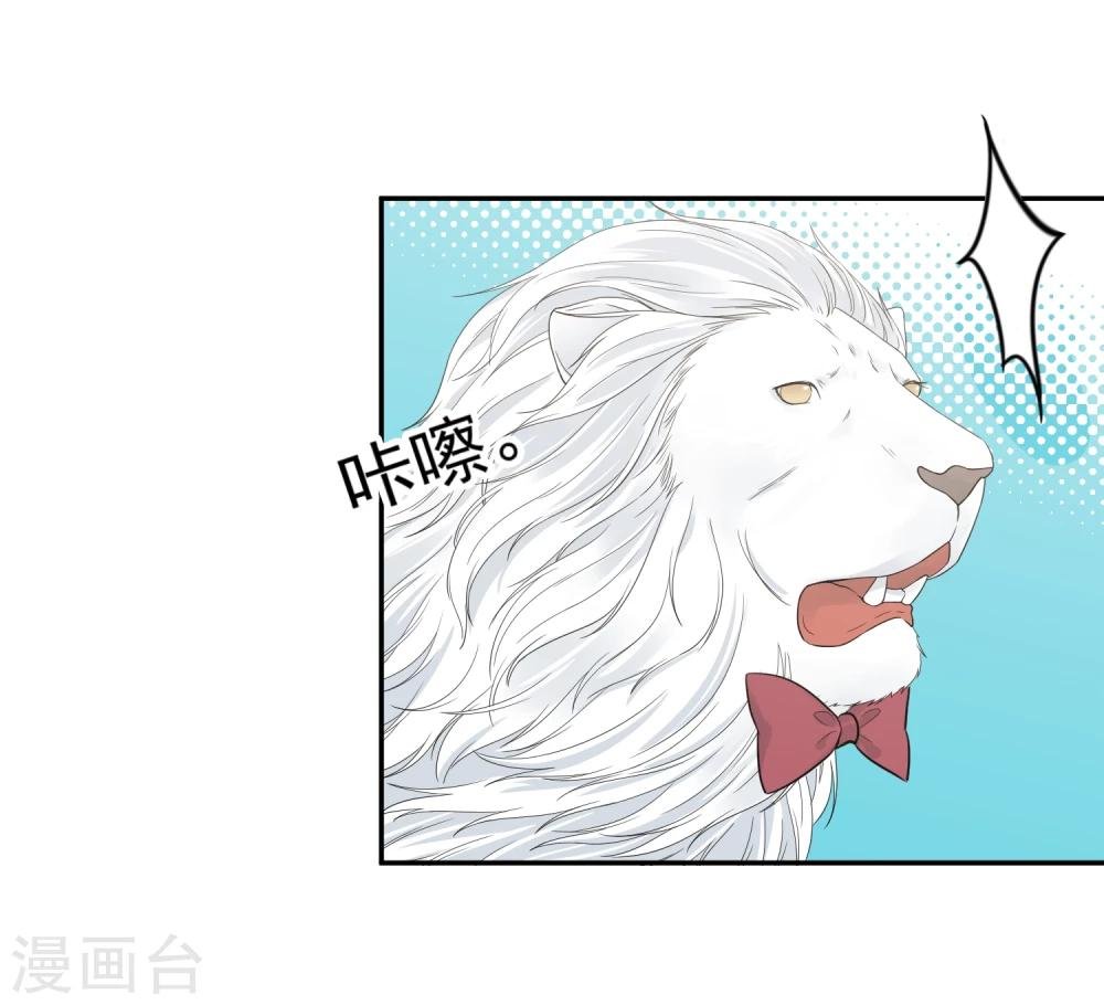 第14话 壁咚你！