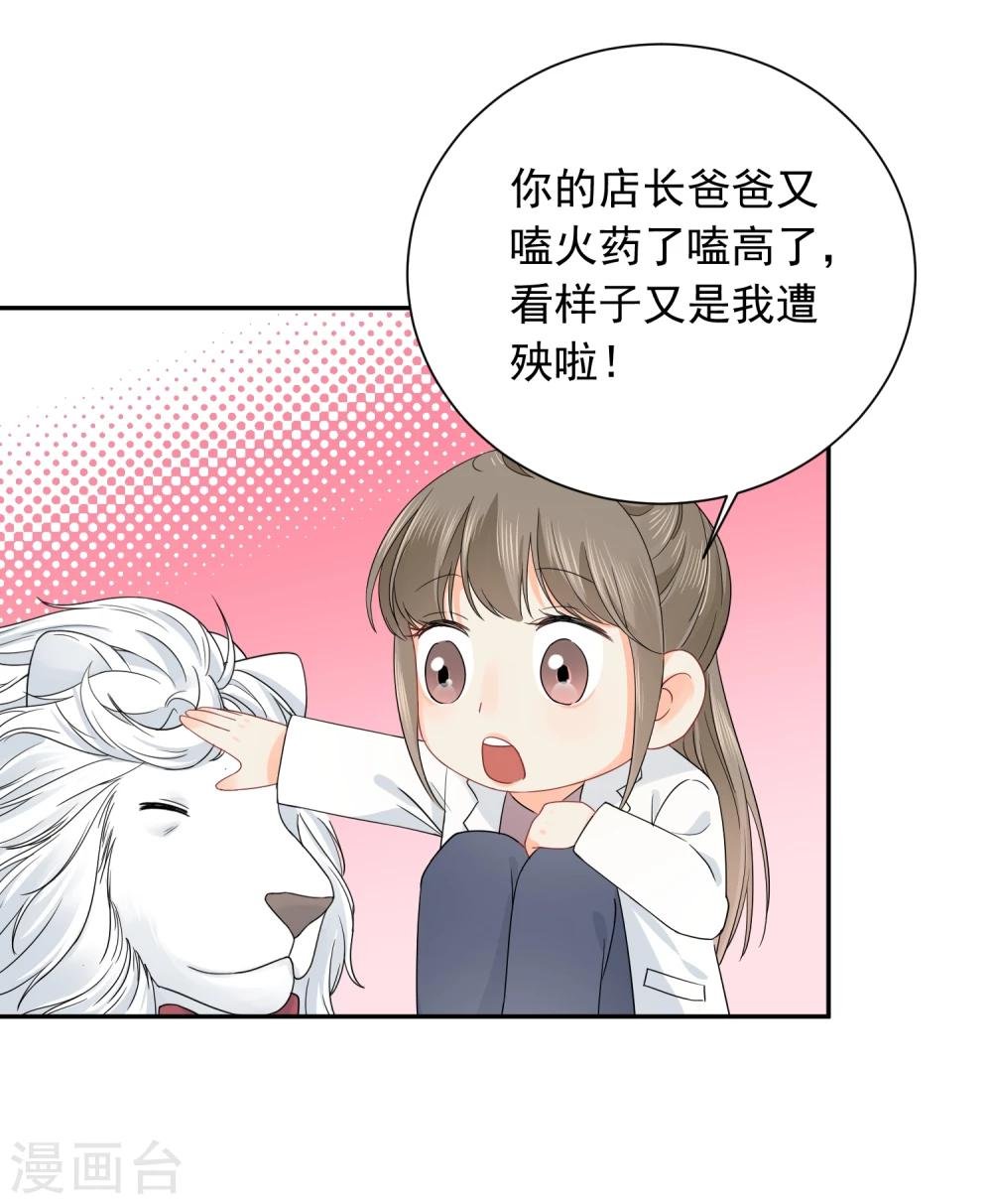 第14话 壁咚你！