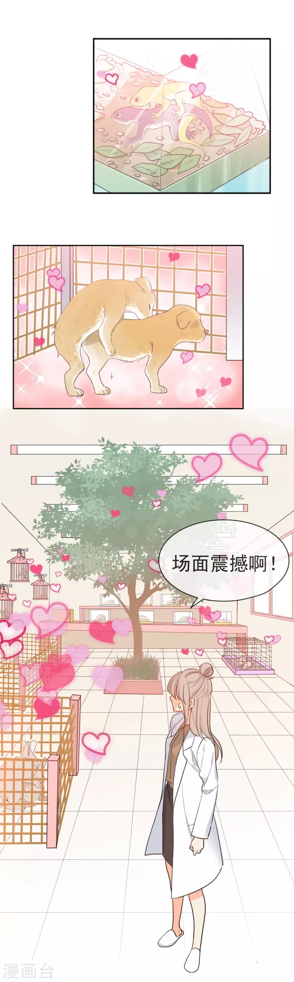 第1话 请问你能交配吗？