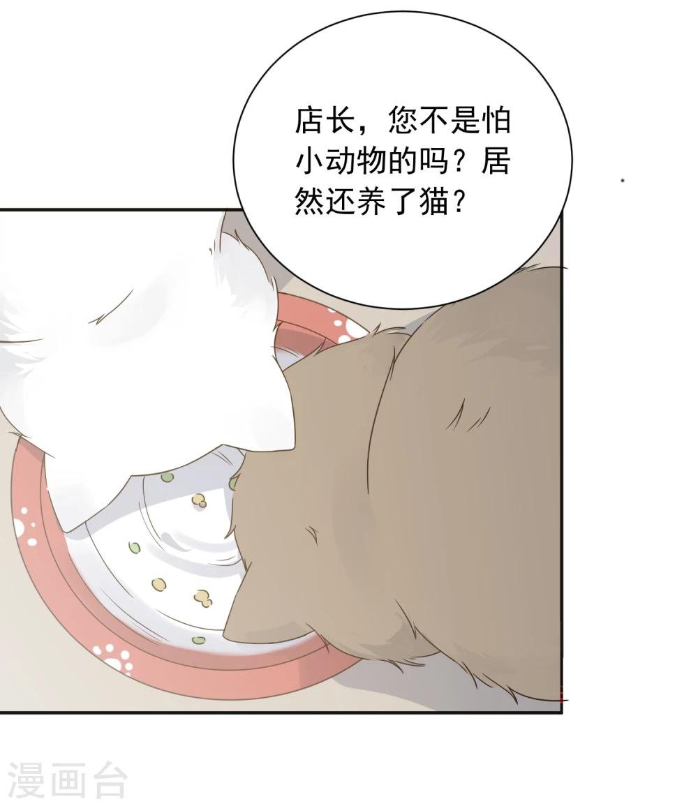 第25话 我能克服你的诱惑！