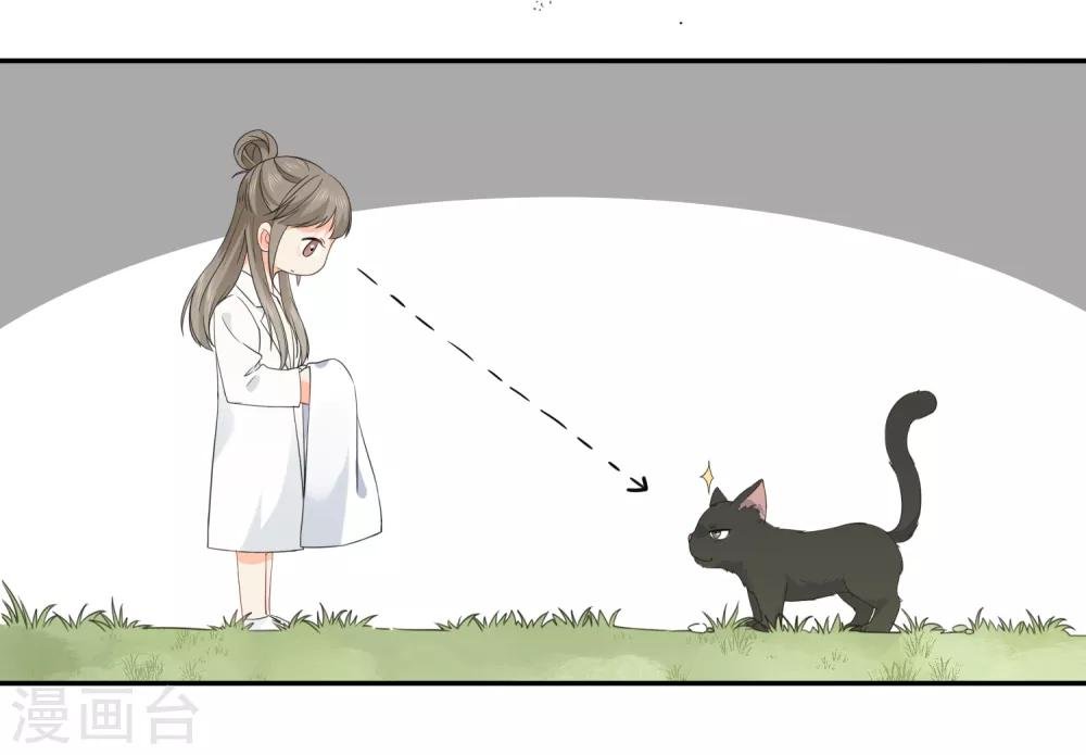 第33话 迷上蠢女人