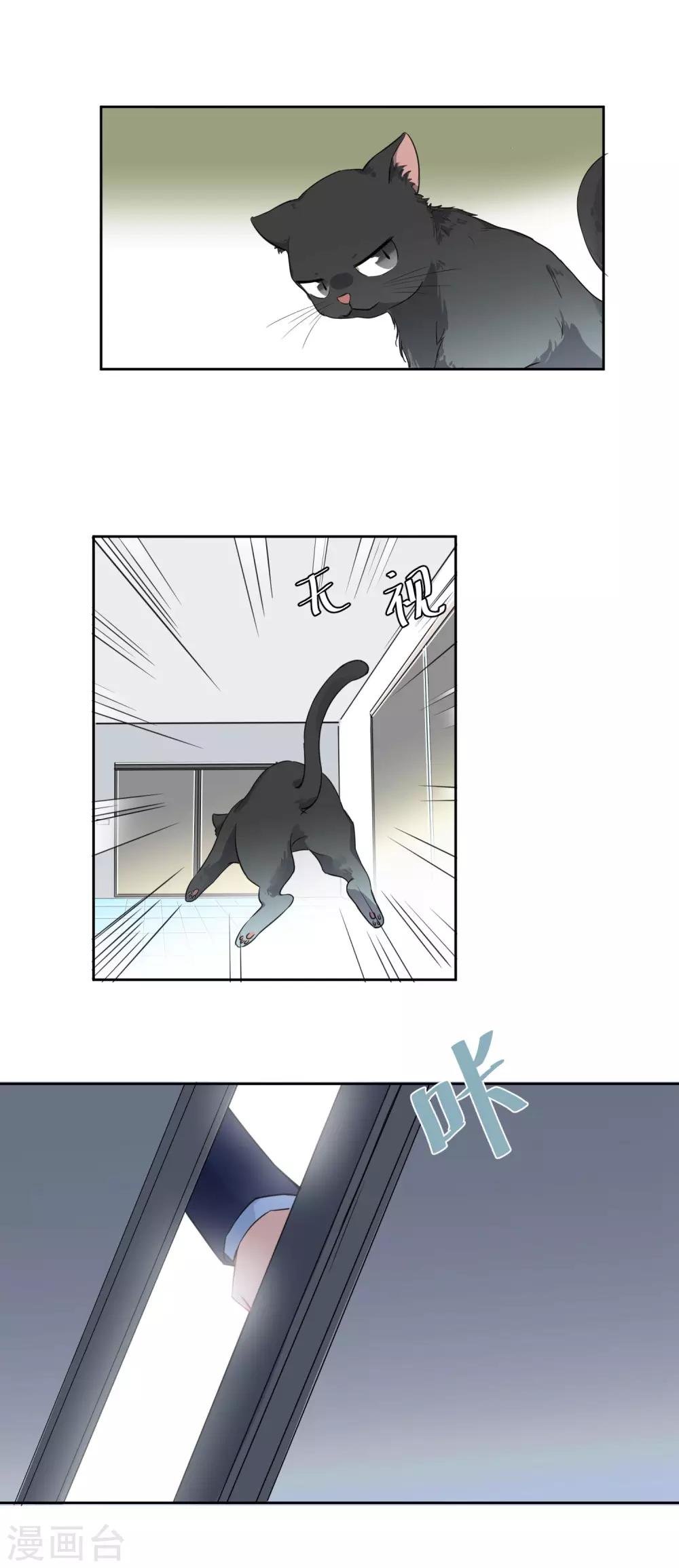 第4话 被打绝育针？！