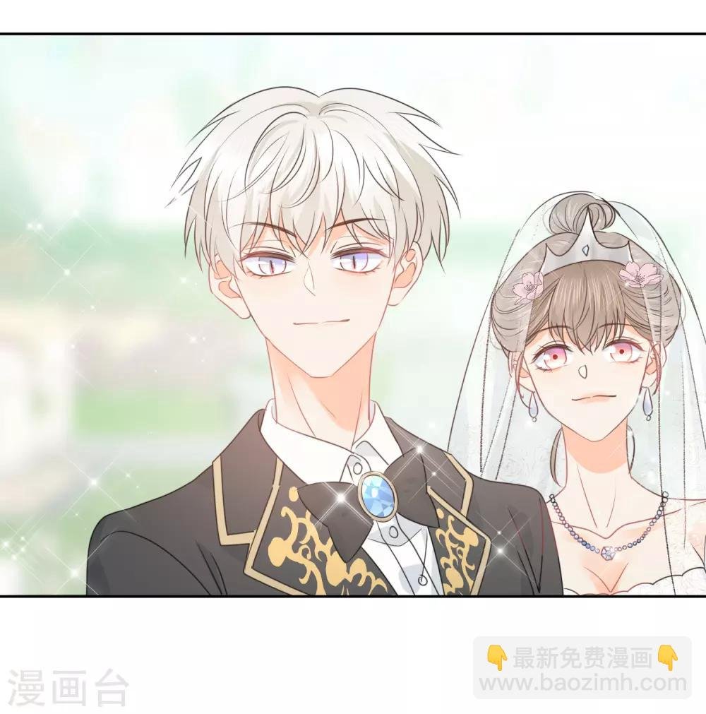 最终话 后来的我们只剩幸福