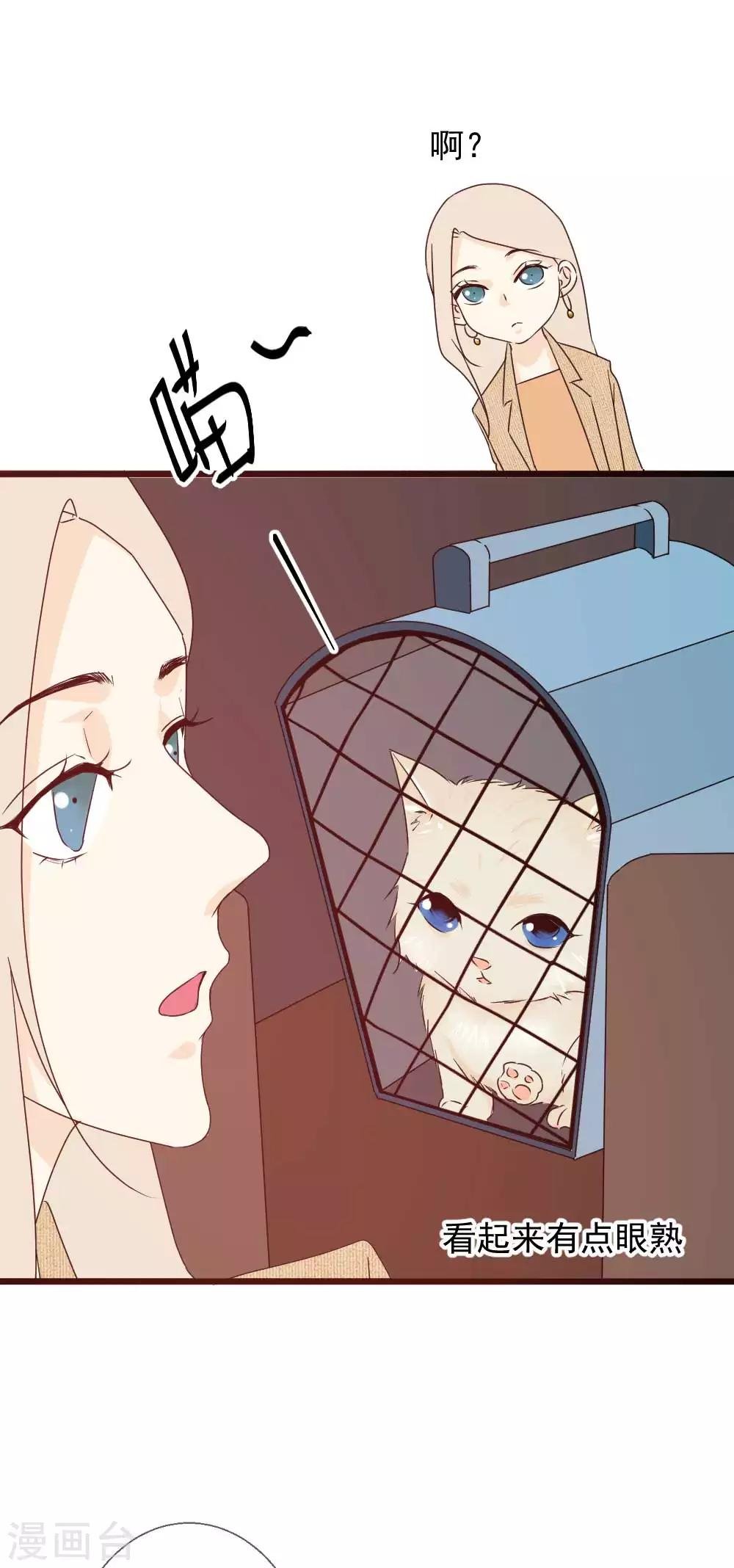 第60话 拥抱才算报答
