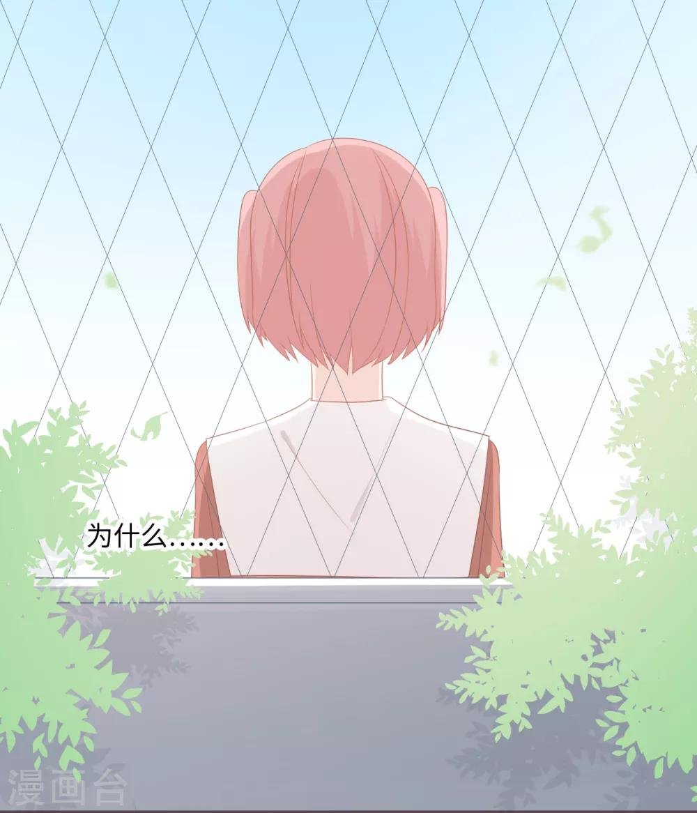 第36话 救下小白兔的大灰狼
