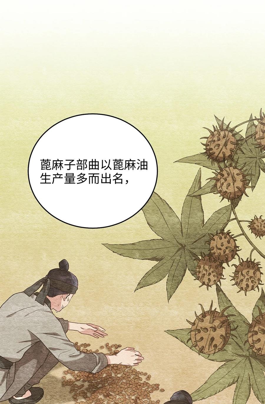 39 蓖麻子