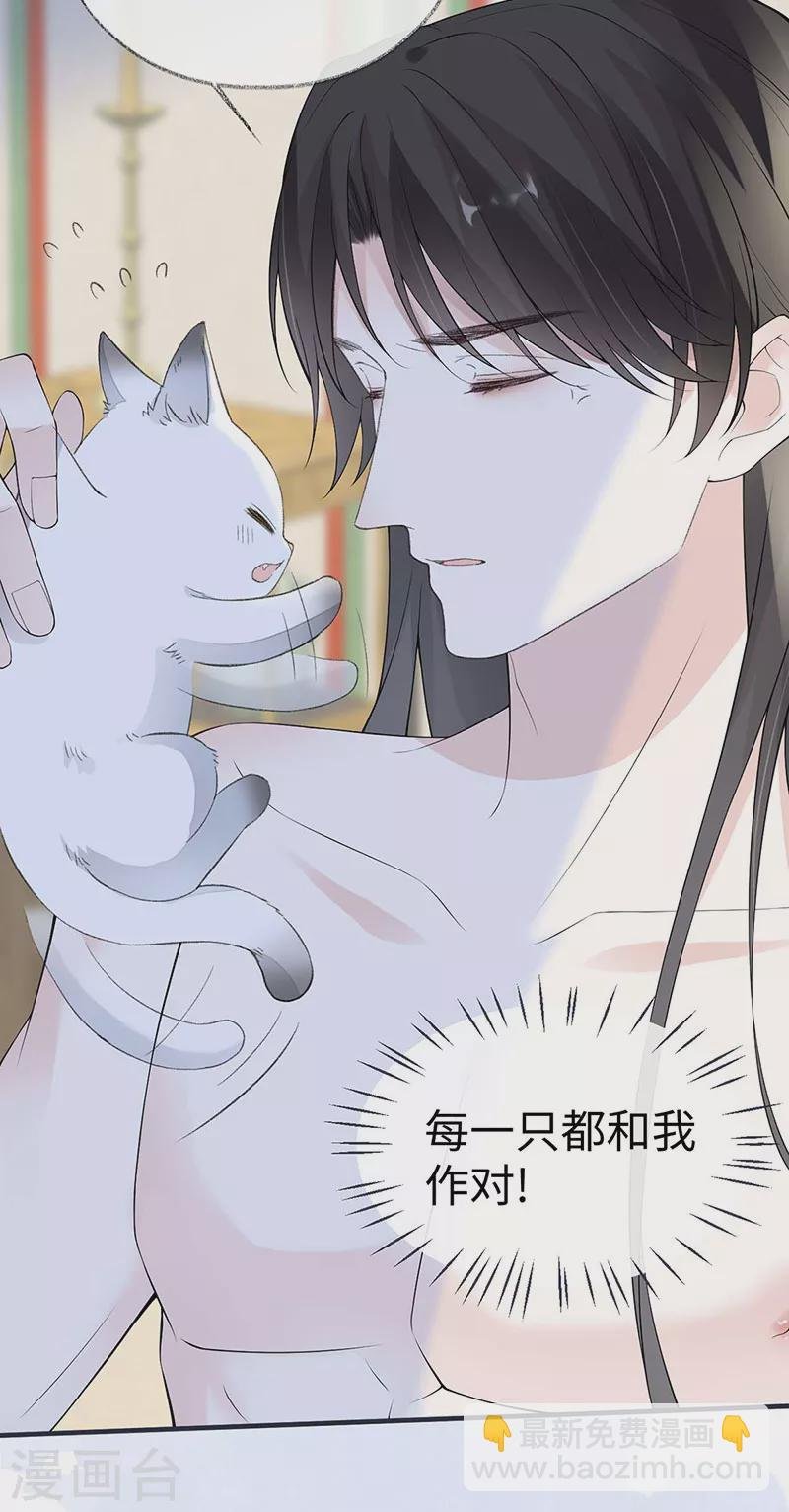 第179话 猫咪踩奶