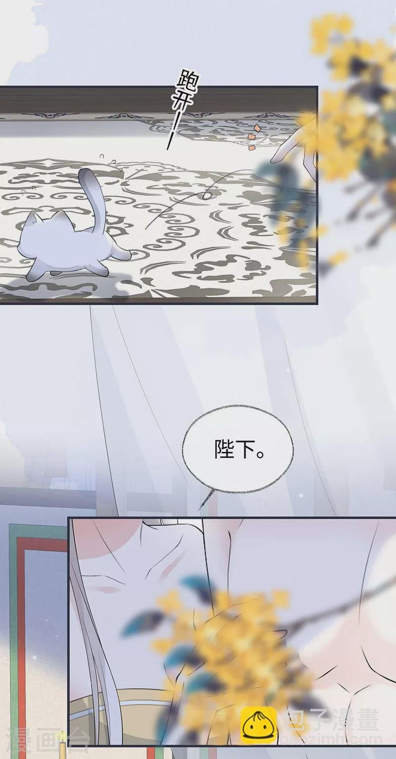第179话 猫咪踩奶
