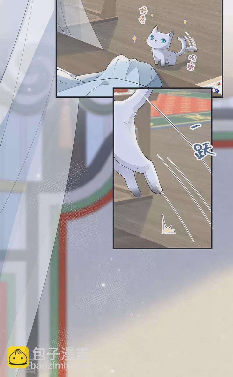第179话 猫咪踩奶
