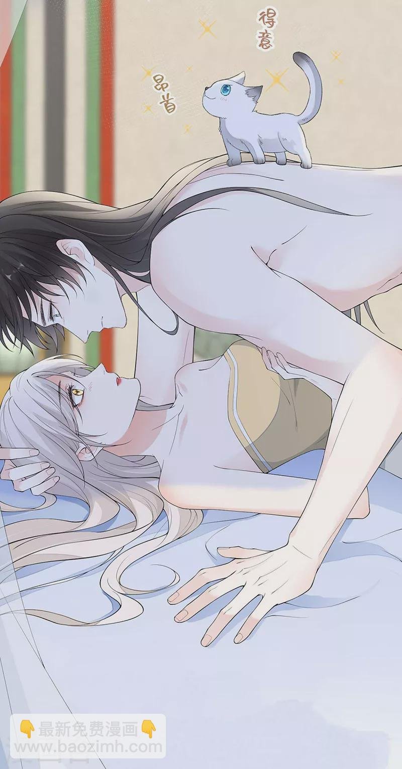 第179话 猫咪踩奶