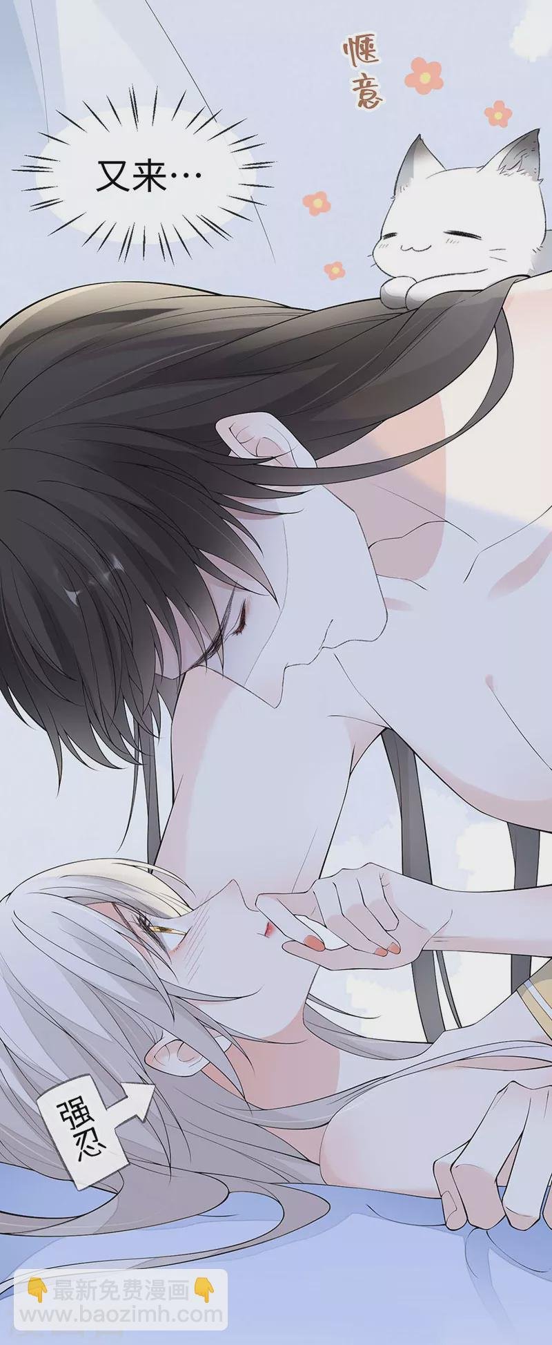 第179话 猫咪踩奶