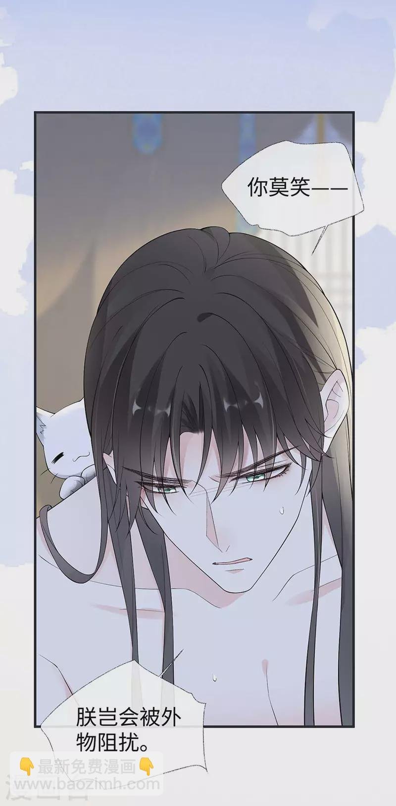 第179话 猫咪踩奶