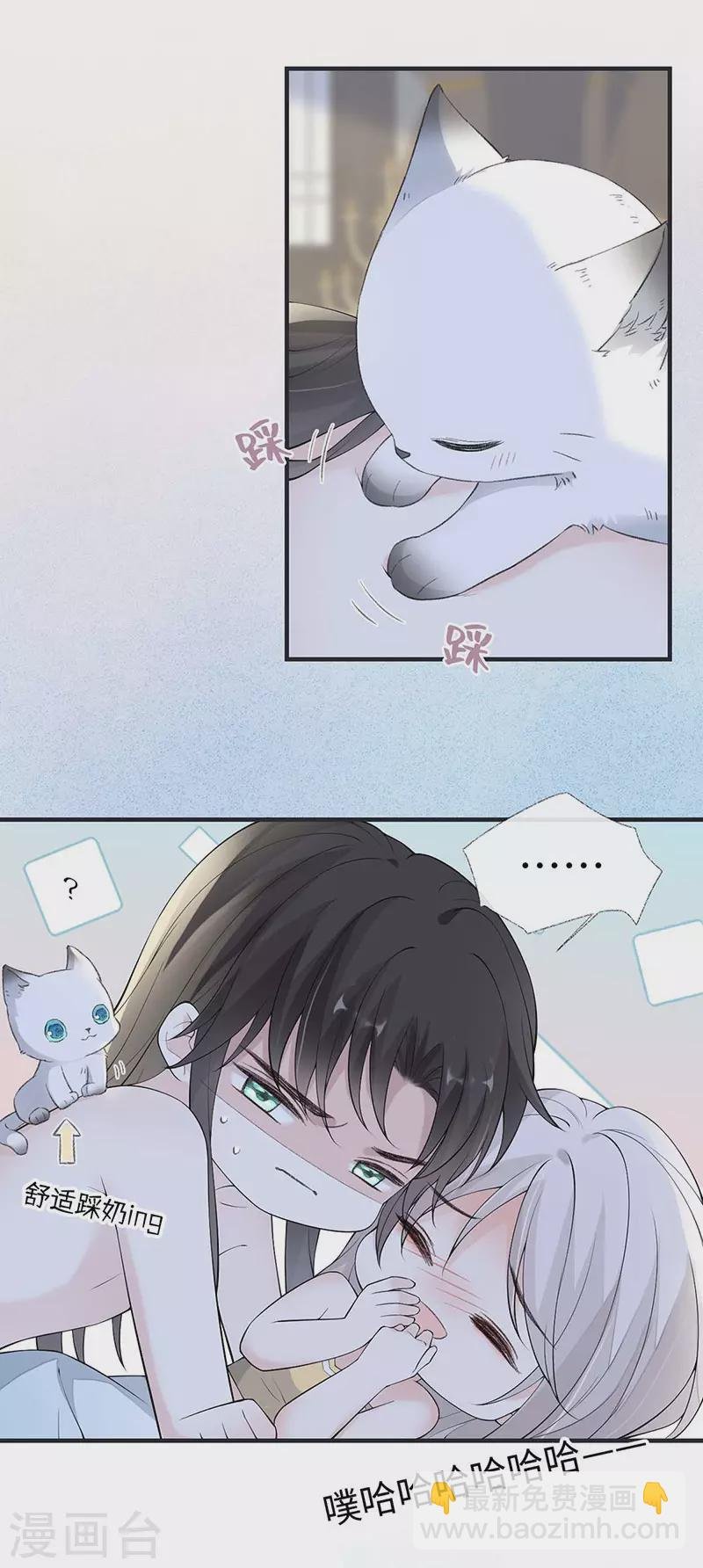 第179话 猫咪踩奶