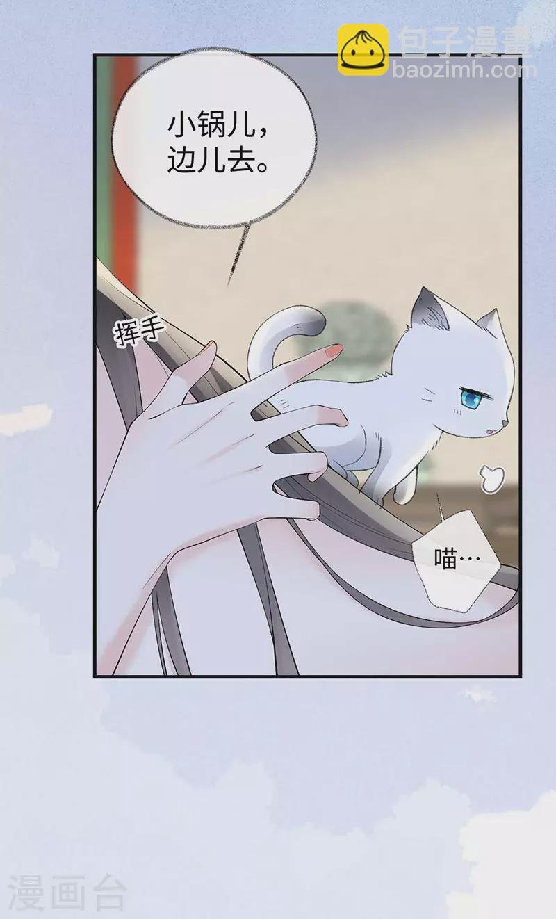 第179话 猫咪踩奶