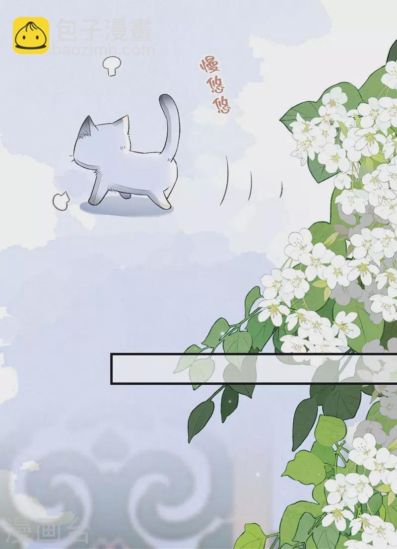 第179话 猫咪踩奶