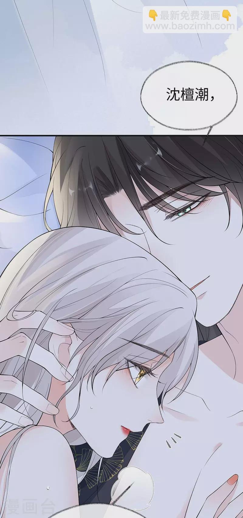 第179话 猫咪踩奶