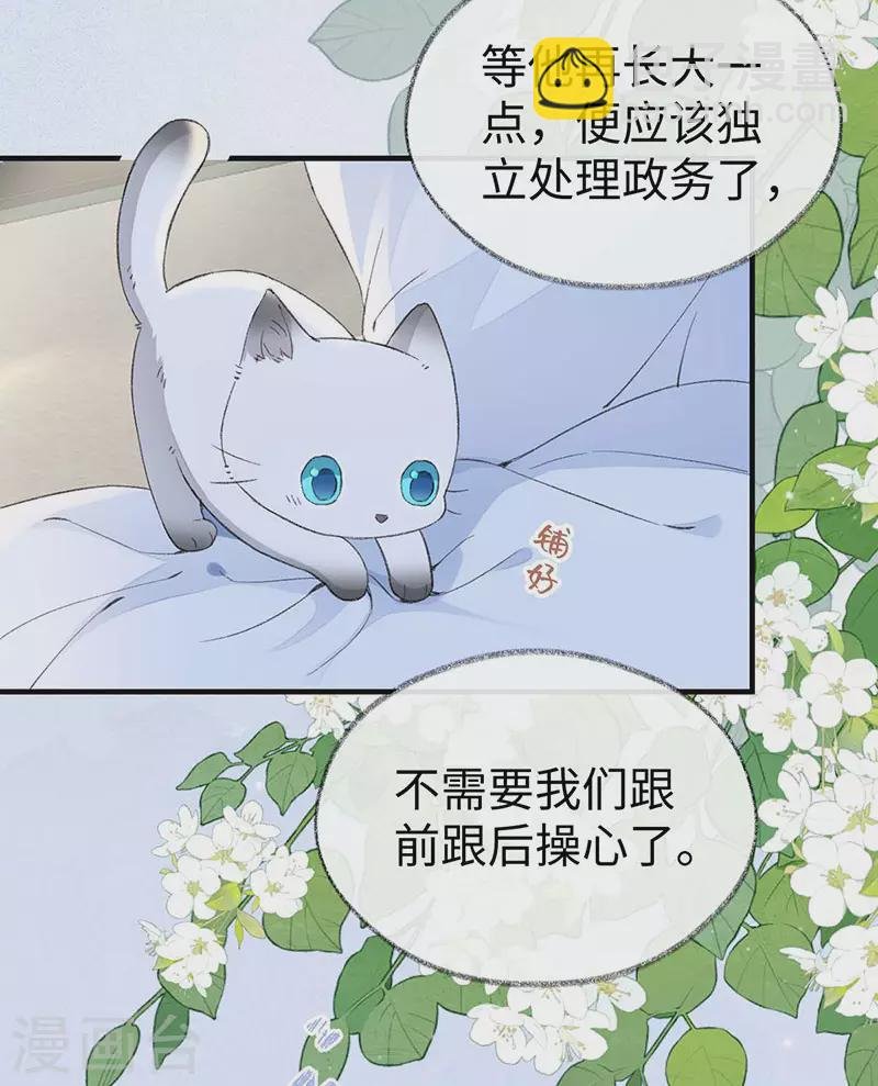 第179话 猫咪踩奶