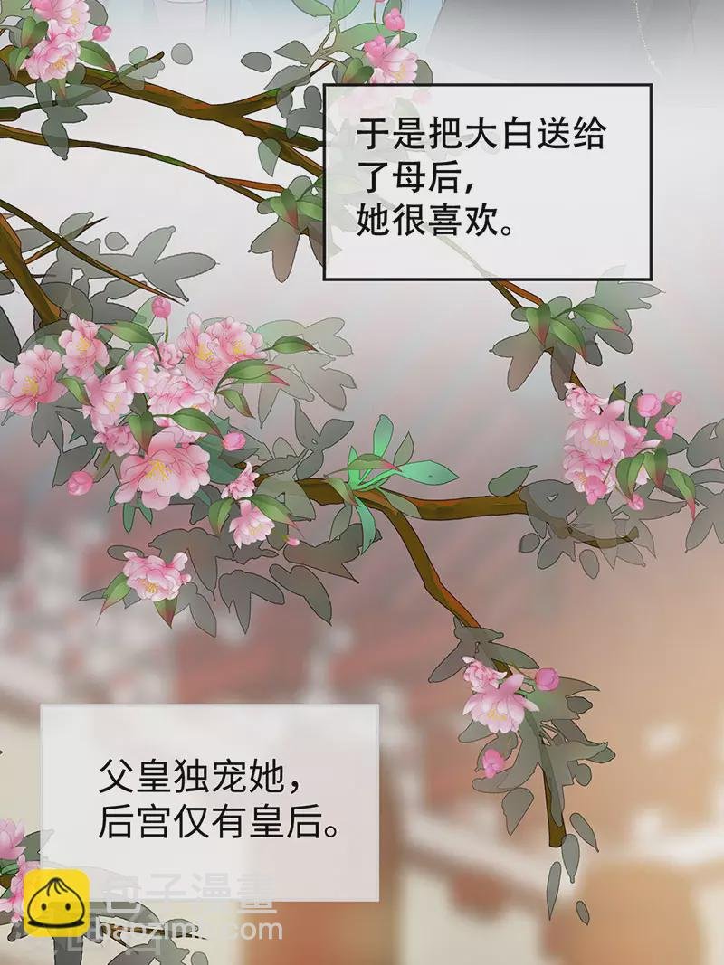 第49话 全是瞎编