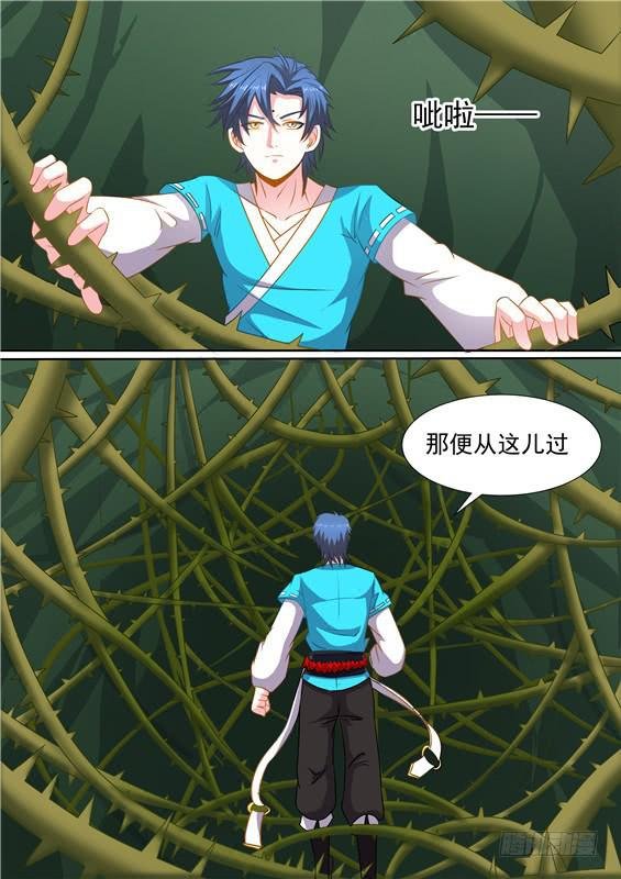 一百五十八丶荆棘丛内部