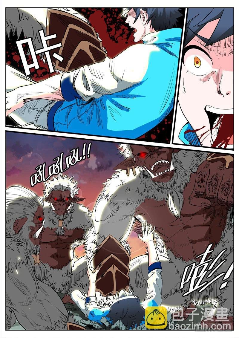 九、猴子还是猩猩？