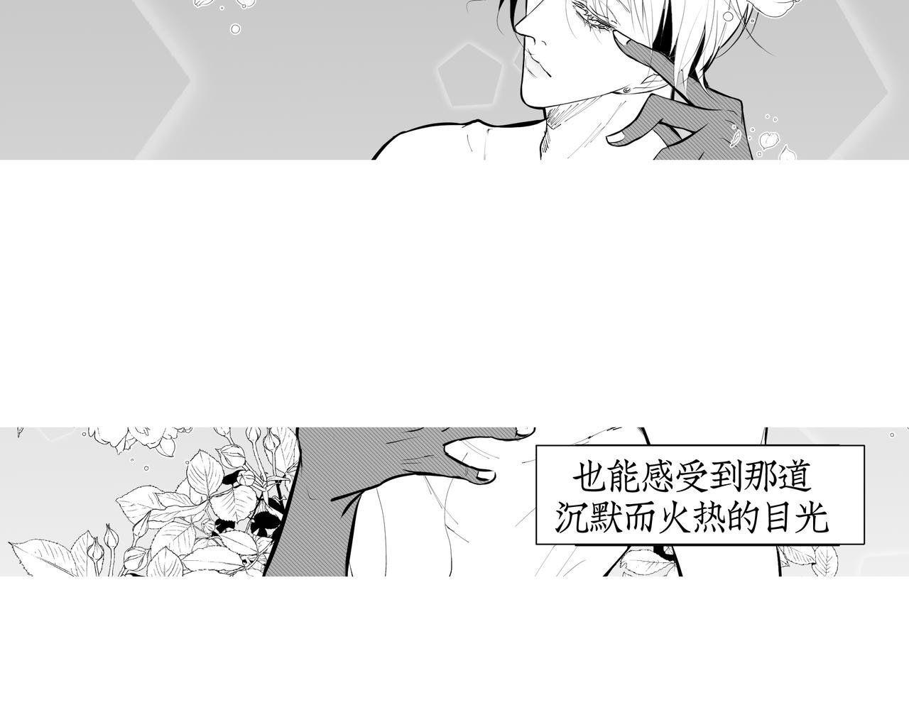雏鸟的情动