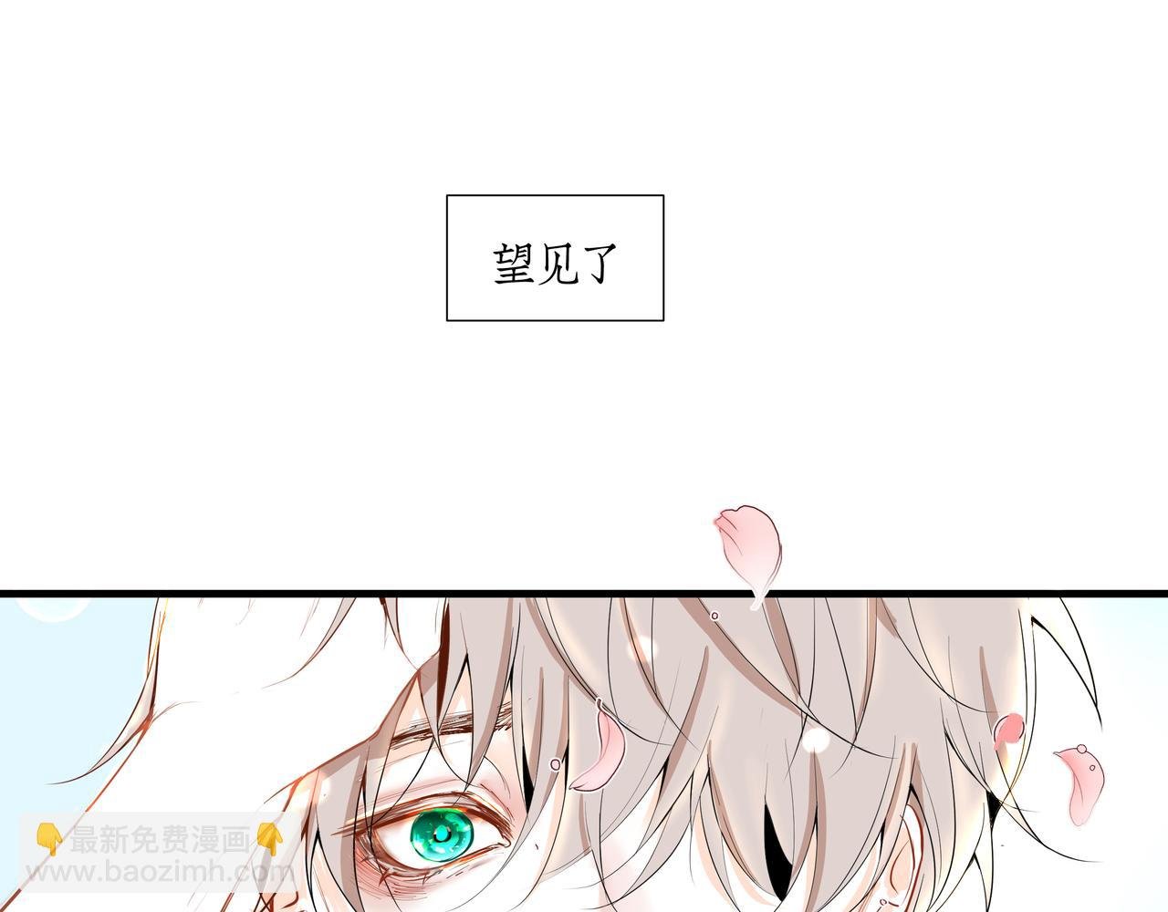 雏鸟的情动