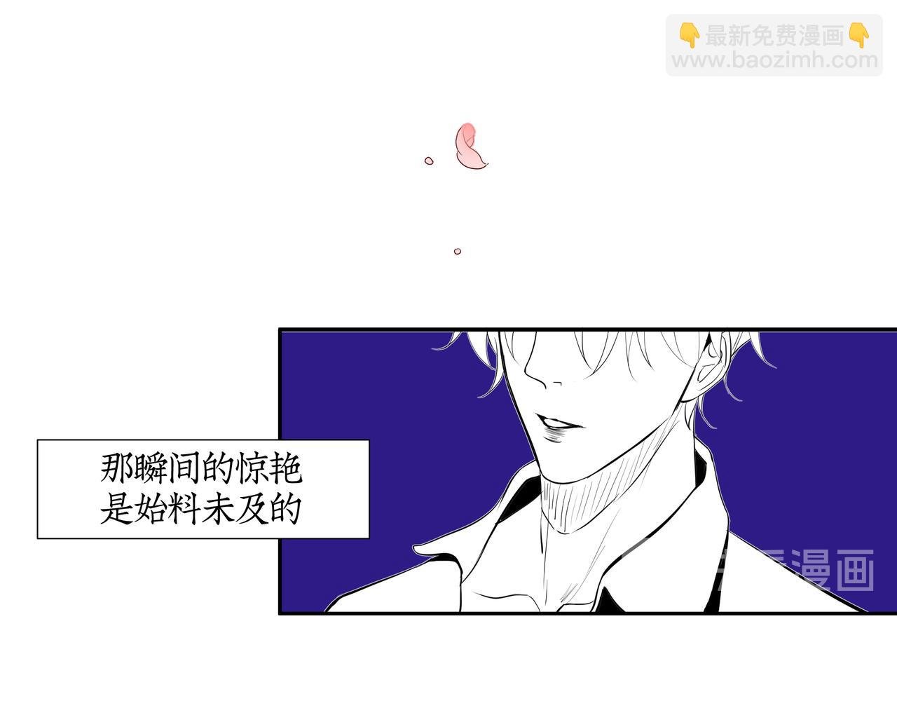 雏鸟的情动