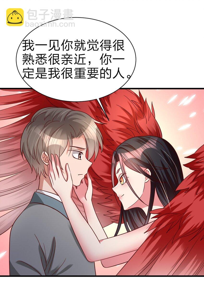 164 朱雀神君陵光？