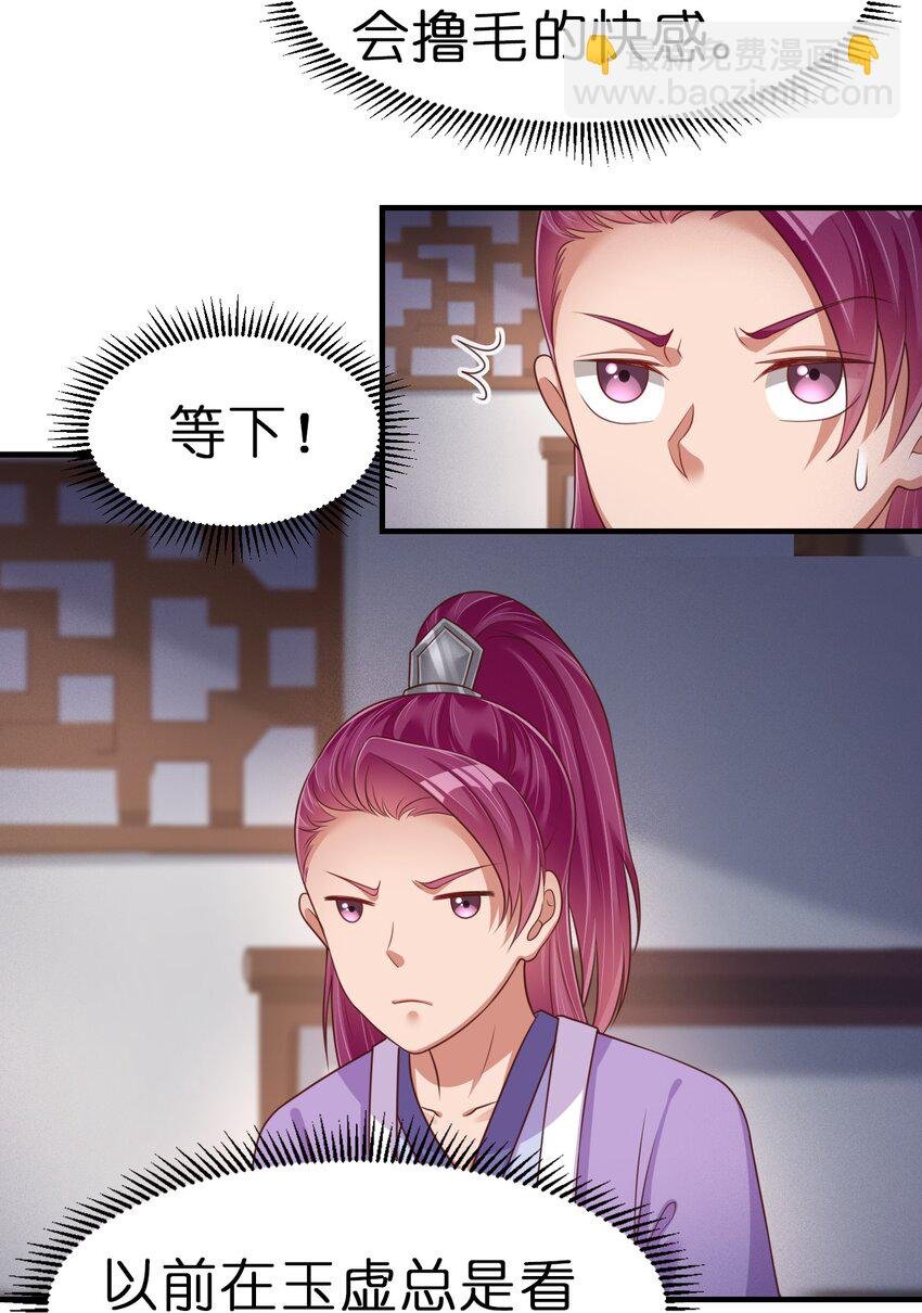 071 毛绒控的世界