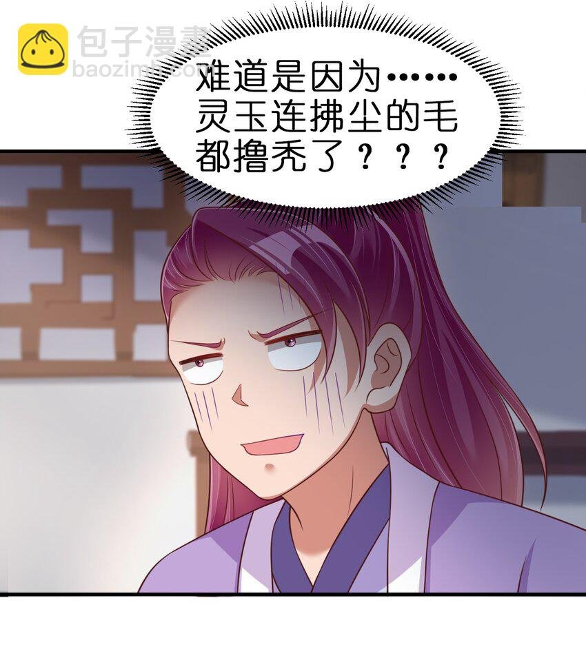 071 毛绒控的世界