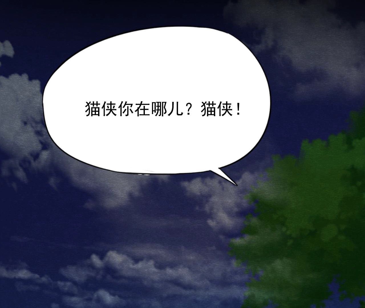 第2季第51话 猫侠的真面目