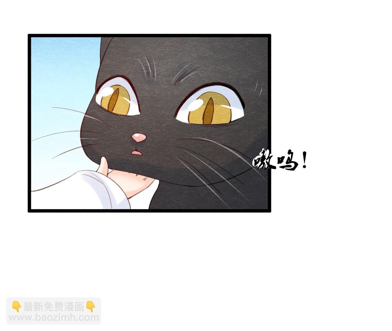 第2季第54话 童年奇遇