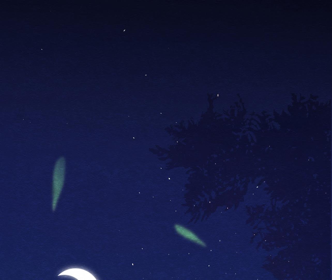 第2季第34话 猫侠再次出手！