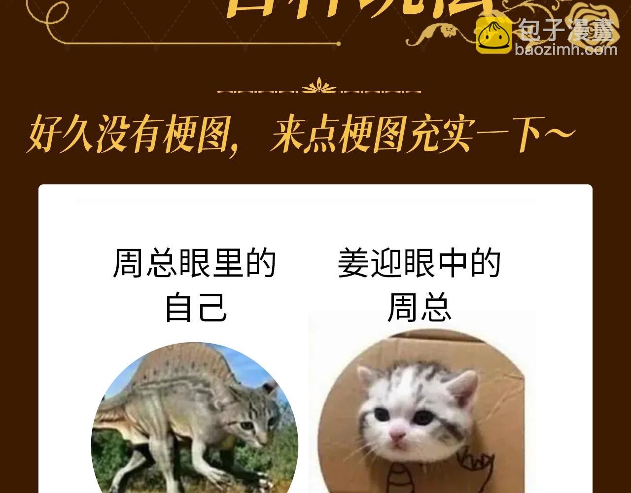第13期 特别企划：周总梗图的一百种玩法