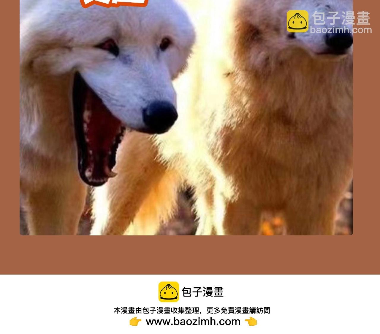 第18期 整活企划：吃醋的周总
