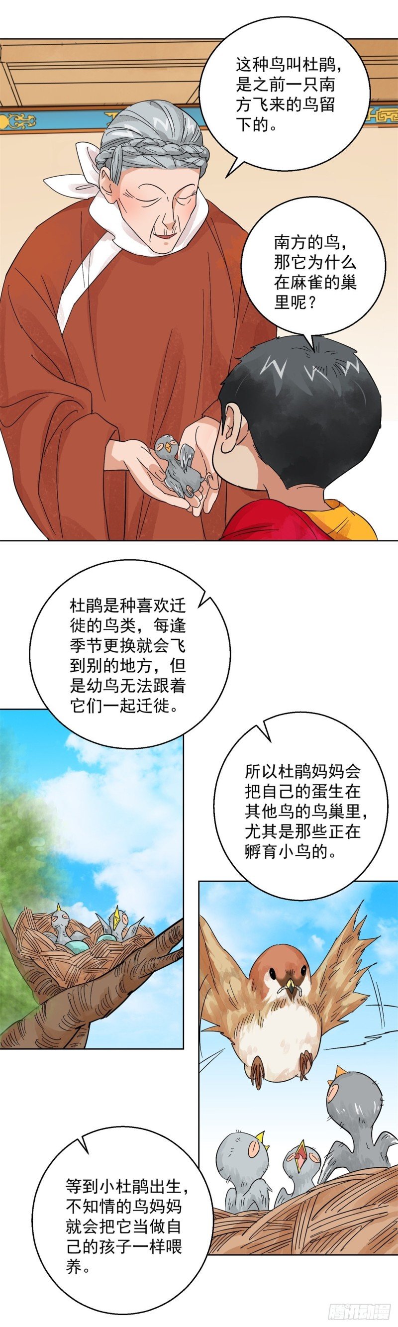 第101话 登巴老师（十四）