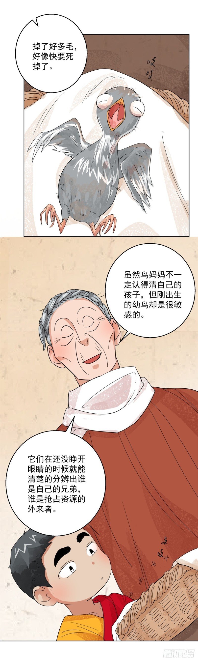 第101话 登巴老师（十四）