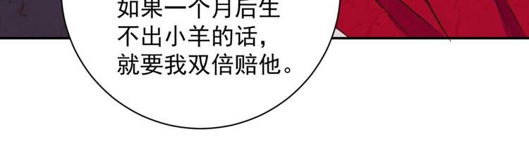 第13话 怀孕的公羊（一）