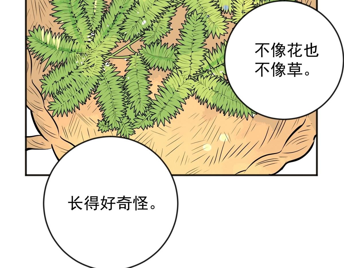 第146话 赌王之子（二十二）