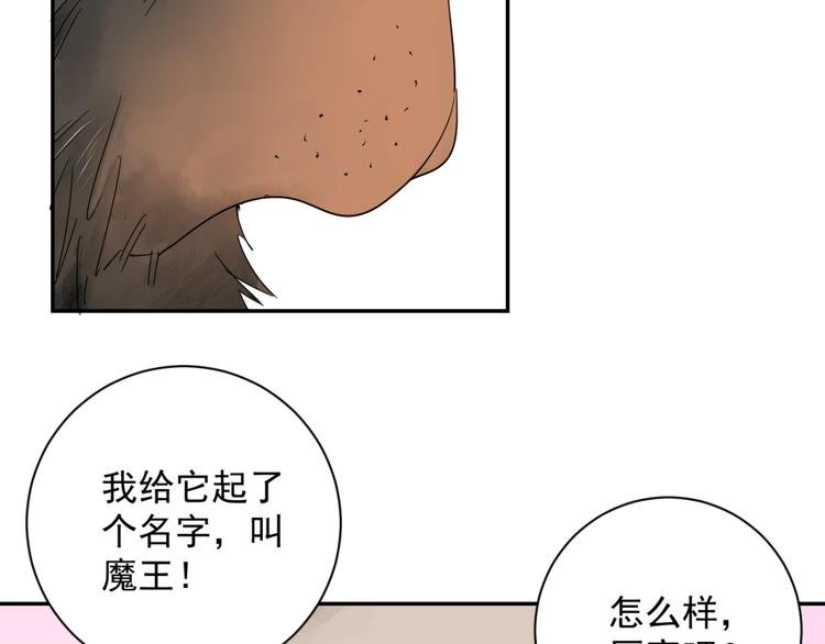 第15话 怀孕的公羊（三）